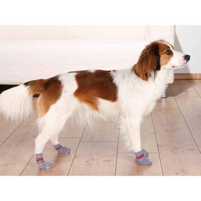 Calcetines Trixie Gris XL Perro 2 Calcetines Trixie Gris XL Perro 2