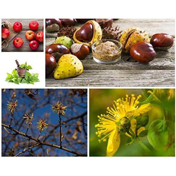 Talika LIPOCILS eyelash expert 10 ml Tratamiento Crecimiento Pestañas Color Curvatura 1