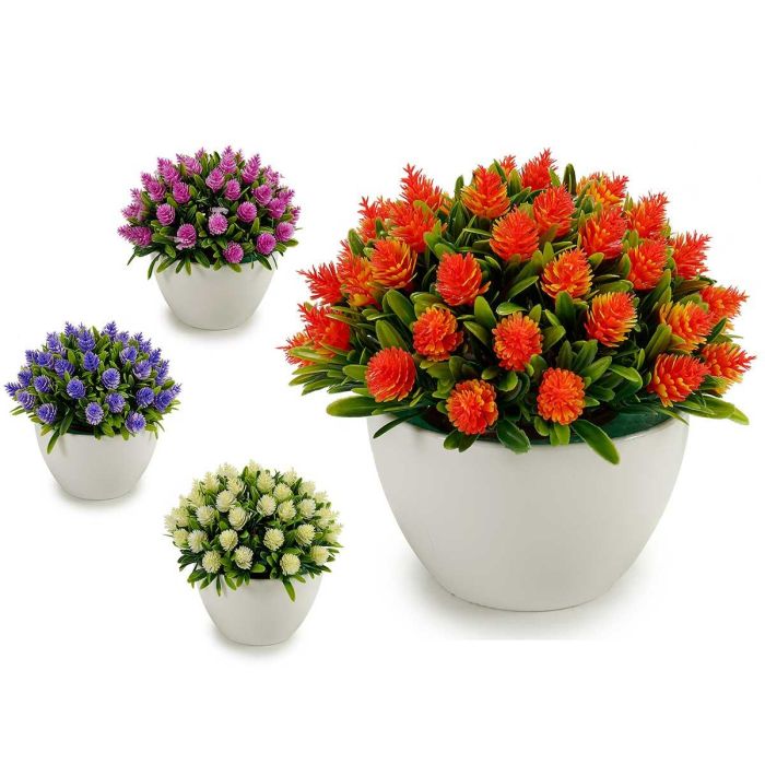 Planta Flores Puntas Surtidos Col Ibergarden 14X12CM (24 Unidades) Planta Flores Puntas Surtidos Col Ibergarden 14X12CM (24 Unidades)