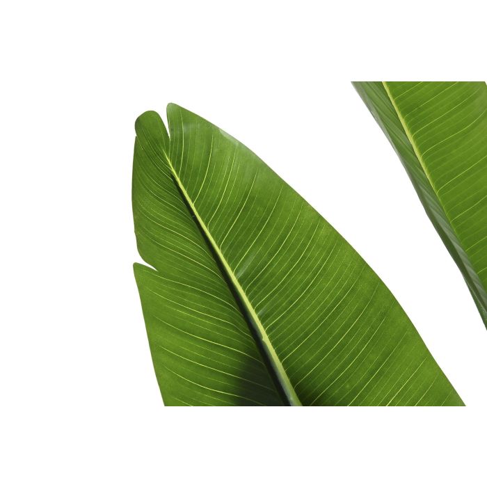 Planta Tropical DKD Home Decor Verde 100 x 210 x 100 cm (2 Unidades) 1 Planta Tropical DKD Home Decor Verde 100 x 210 x 100 cm (2 Unidades) 1