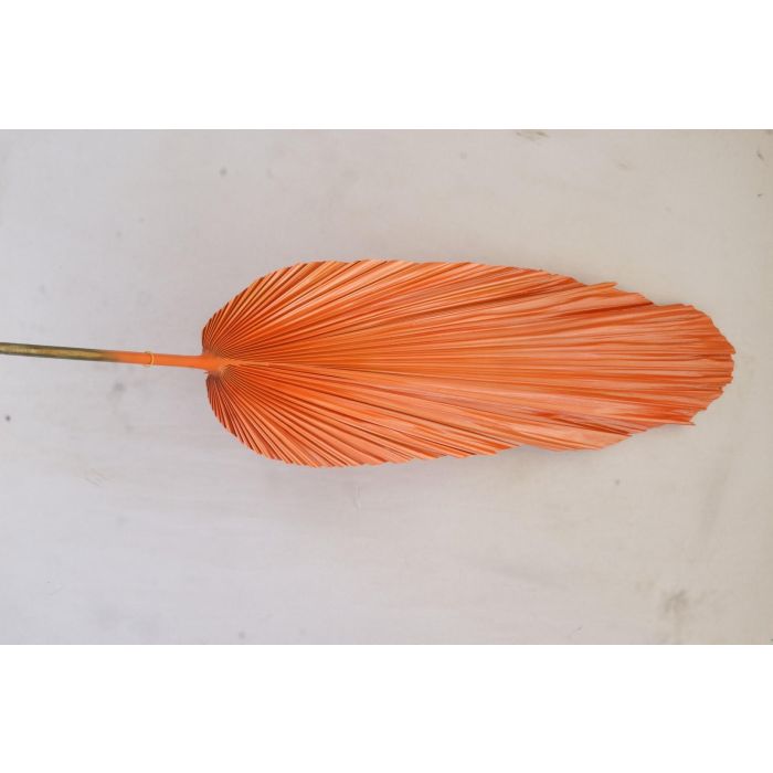 DKD Home Decor Rama Rosa Naranja 2 x 148 x 22 cm (12 Unidades) 1