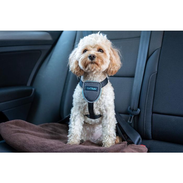 Company Of Animals Arnés de Viaje para Perro Carsafe Negro XS - Seguridad en Coche, Acolchado, Reflectante, Resistente - Cuello 34cm, Cintura 40-52cm 2 Company Of Animals Arnés de Viaje para Perro Carsafe Negro XS - Seguridad en Coche, Acolchado, Reflectante, Resistente - Cuello 34cm, Cintura 40-52cm 2