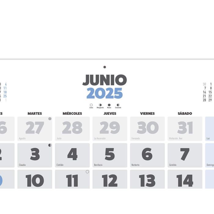 Calendario Pared Liderpapel Clasico 2025 Lomo Engomado 44x32 cm Papel 105 gr 2