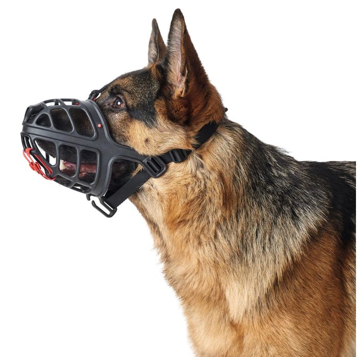 Hunter Bozal Albury 3, Protección Anti-Cebos Envenenados Removible, Plástico Acolchado, Medidas A:6.3 B:21.5 C:62cm, Negro para Perro 6 Hunter Bozal Albury 3, Protección Anti-Cebos Envenenados Removible, Plástico Acolchado, Medidas A:6.3 B:21.5 C:62cm, Negro para Perro 6