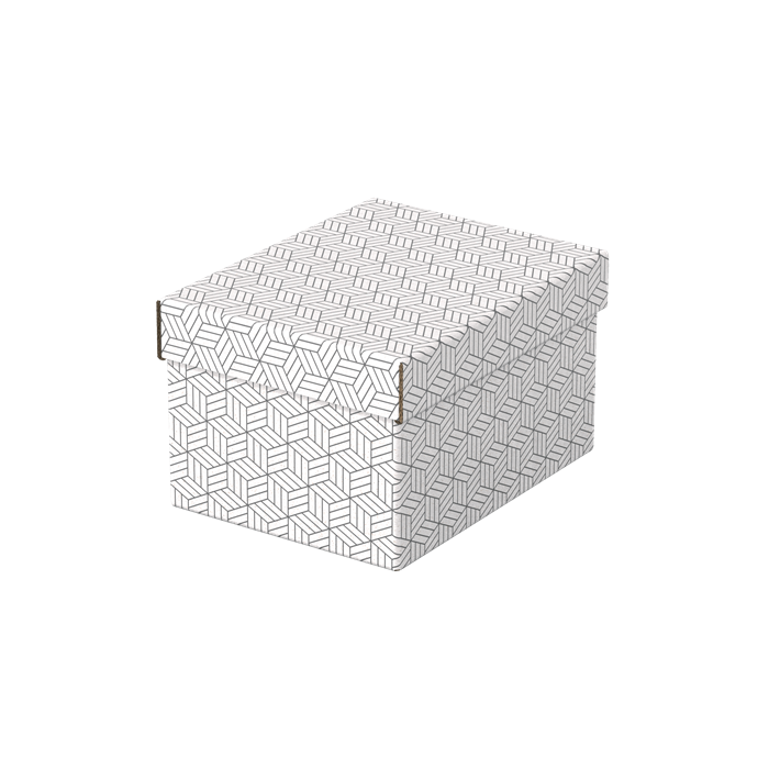 Pack 3 Cajas Blancas 255X200X150Mm Esselte 628280