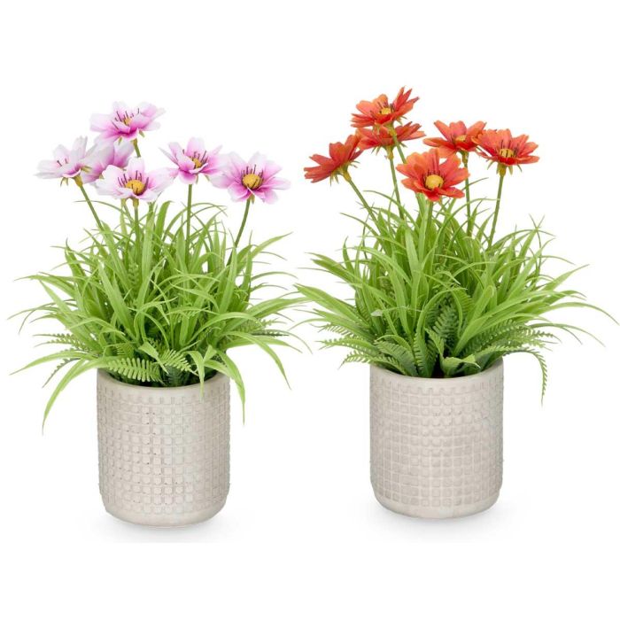 Maceta Cemento Cuadrados Flores Surtidos Ibergarden 18x23x18cm (24 Unidades) 1 Maceta Cemento Cuadrados Flores Surtidos Ibergarden 18x23x18cm (24 Unidades) 1