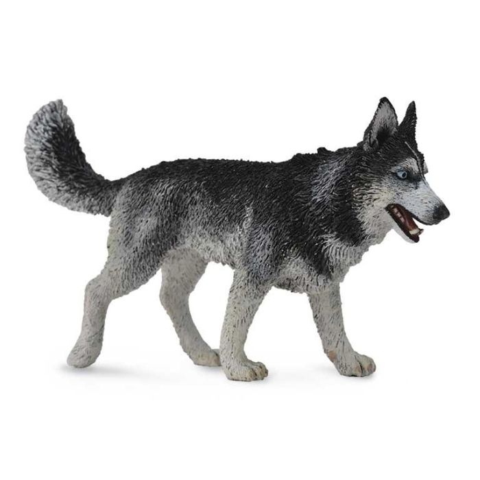 Husky Siberiano -L- 88707 Collecta Husky Siberiano -L- 88707 Collecta