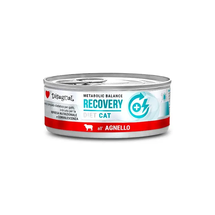 Disugual Diet Cat Recovery Cordero 12x85 gr Disugual Diet Cat Recovery Cordero 12x85 gr