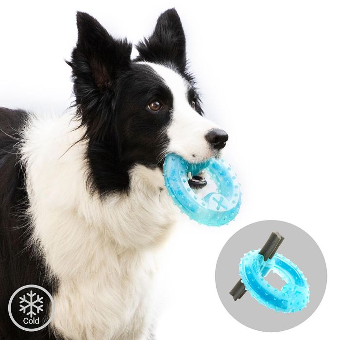 Juguete Mordedor Congelable para Mascotas 2 en 1 Glubiz InnovaGoods 5 Juguete Mordedor Congelable para Mascotas 2 en 1 Glubiz InnovaGoods 5