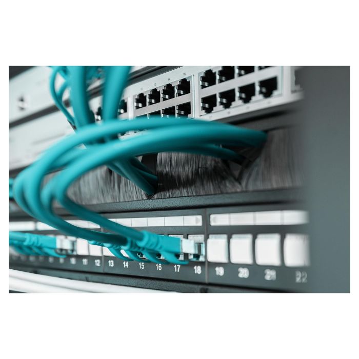 Digitus Panel de Gestión de Cables con Cepillo Abierto, Montaje 1U, Negro (RAL 9005) 1