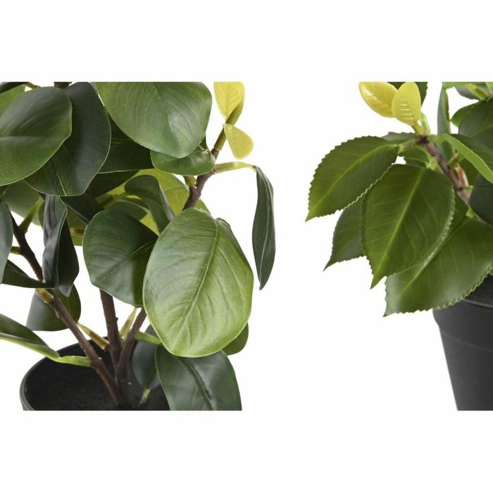 Planta Decorativa DKD Home Decor Verde PP PE Ficus (2 Unidades) (21 x 18 x 30 cm) 2 Planta Decorativa DKD Home Decor Verde PP PE Ficus (2 Unidades) (21 x 18 x 30 cm) 2