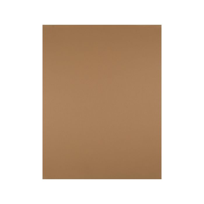 Cartulina Liderpapel 50x65 cm 180 gr Marron Escolar Unidad 125 unidades 1