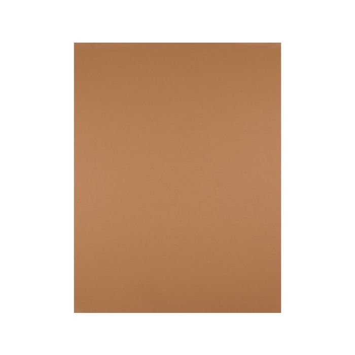 Cartulina Liderpapel 50x65 cm 180 gr Marron Escolar Paquete De 25 Hojas 2