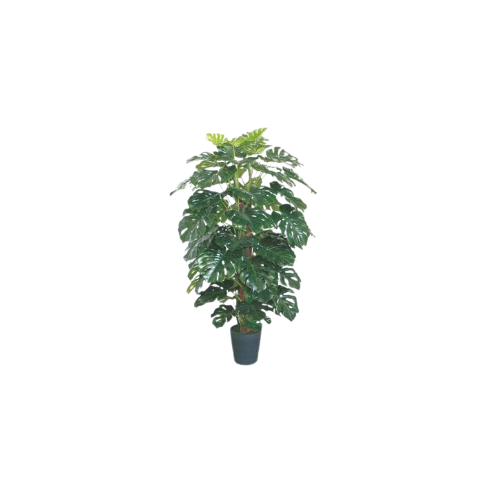 DKD Home Decor Planta Tropical Monstera Artificial Verde 80 Ancho x 80 Largo x 150 Alto cm Decoración Interior (2 Unidades) DKD Home Decor Planta Tropical Monstera Artificial Verde 80 Ancho x 80 Largo x 150 Alto cm Decoración Interior (2 Unidades)