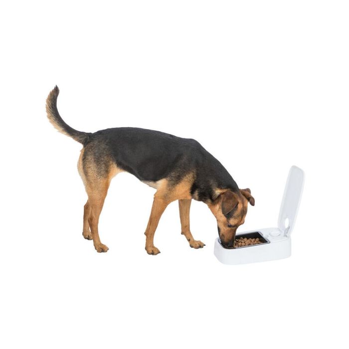 Comedero para Mascotas Trixie Blanco Negro Plástico 300 ml 2 Comedero para Mascotas Trixie Blanco Negro Plástico 300 ml 2