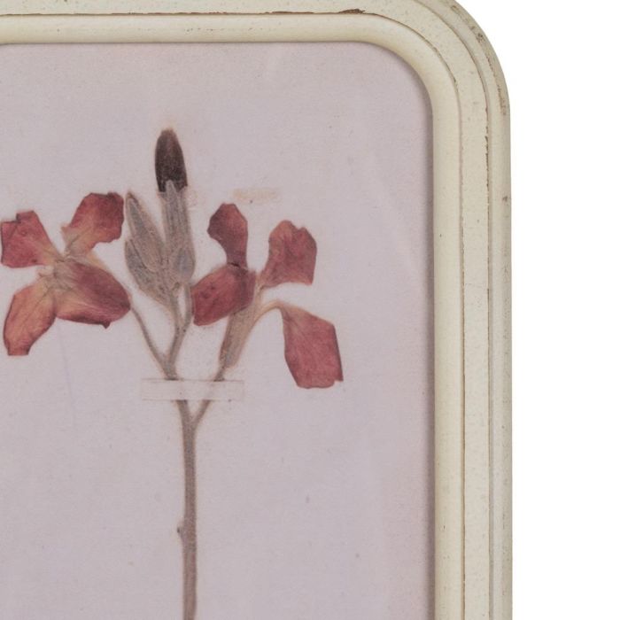 Cuadro Impresión Flores 4/M Dm-Cristal 25 X 2 X 50 cm