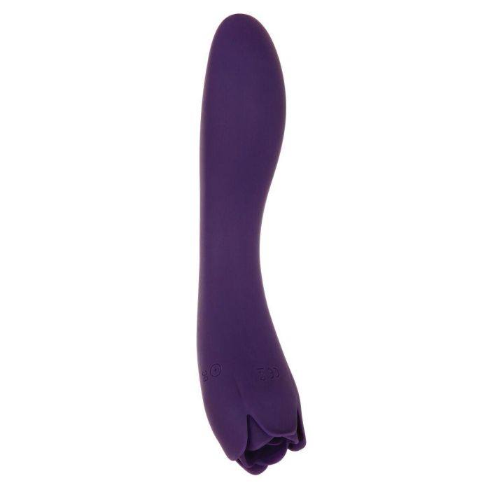 Vibrador Evolved Morado 16 Vibrador Evolved Morado 16