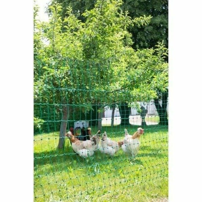 Kerbl Red para Pollos y Aves 50 m x 106 cm, Doble Punta, No Eléctrica, Verde 2 Kerbl Red para Pollos y Aves 50 m x 106 cm, Doble Punta, No Eléctrica, Verde 2