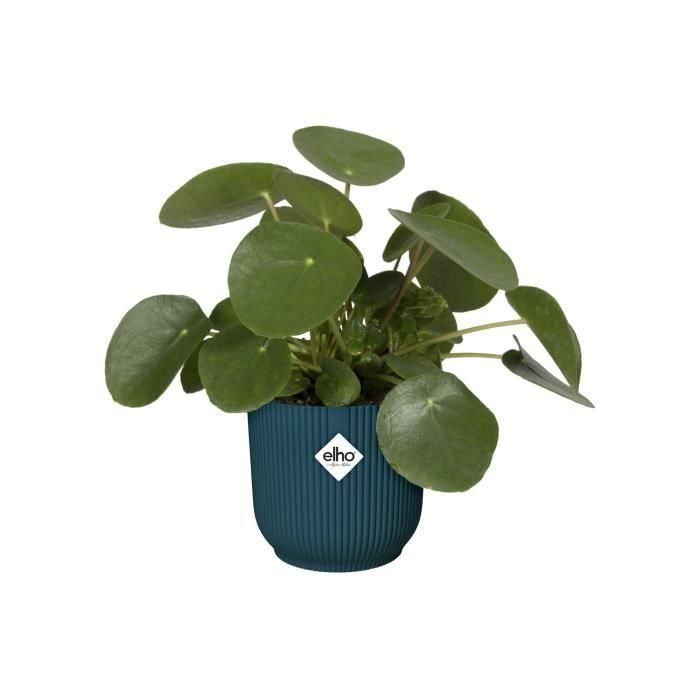 Elho ELH8711904494759 Macetero Vibes Fold redondo Ruedas 35 Azul Ø 35 x H 32 cm interior 100% reciclado 3 Elho ELH8711904494759 Macetero Vibes Fold redondo Ruedas 35 Azul Ø 35 x H 32 cm interior 100% reciclado 3