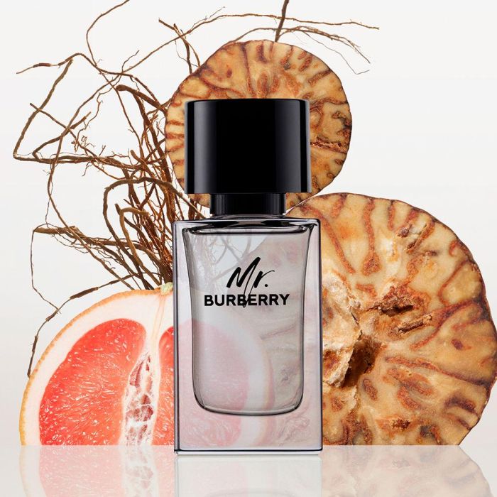 Burberry Mr Burberry Eau de Toilette 100ml Vaporizador