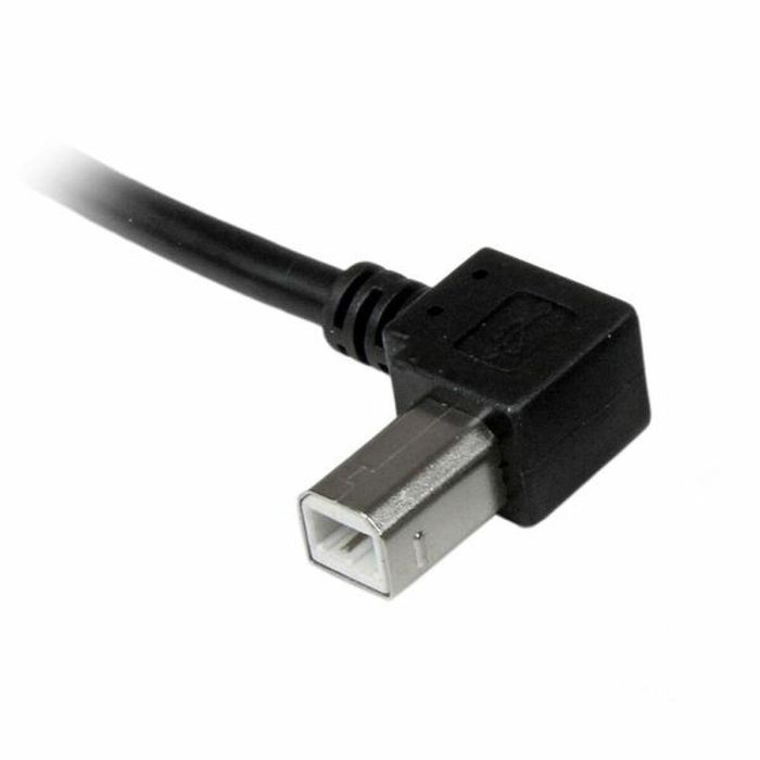 Cable USB A a USB B Startech USBAB3ML Negro 1