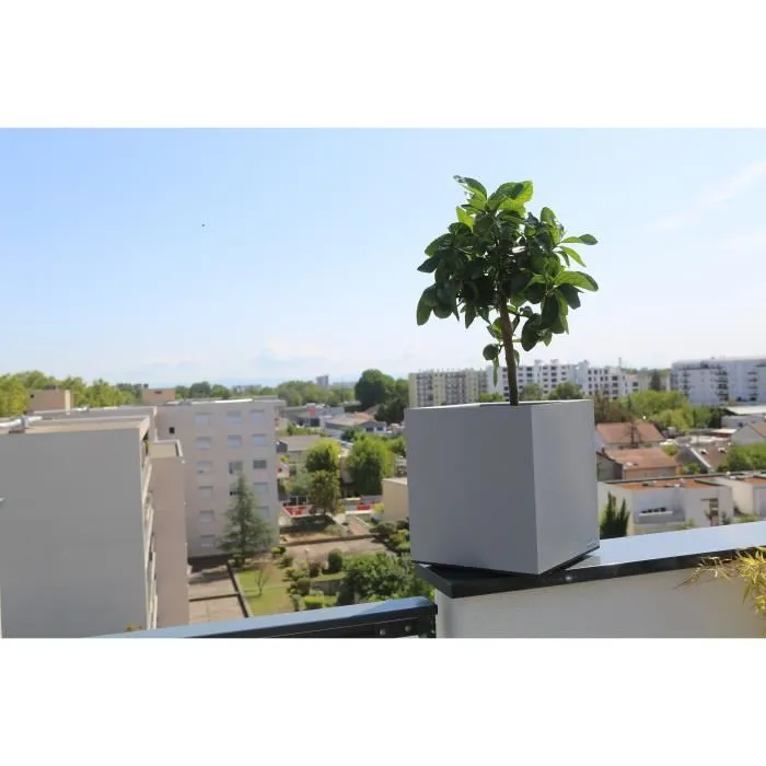 Riviera Contenedor Granito 40x40 Piedra Doble Pared Con Sistema De Retención De Agua Cuadrado 100% Reciclable Fabricación Francesa 3