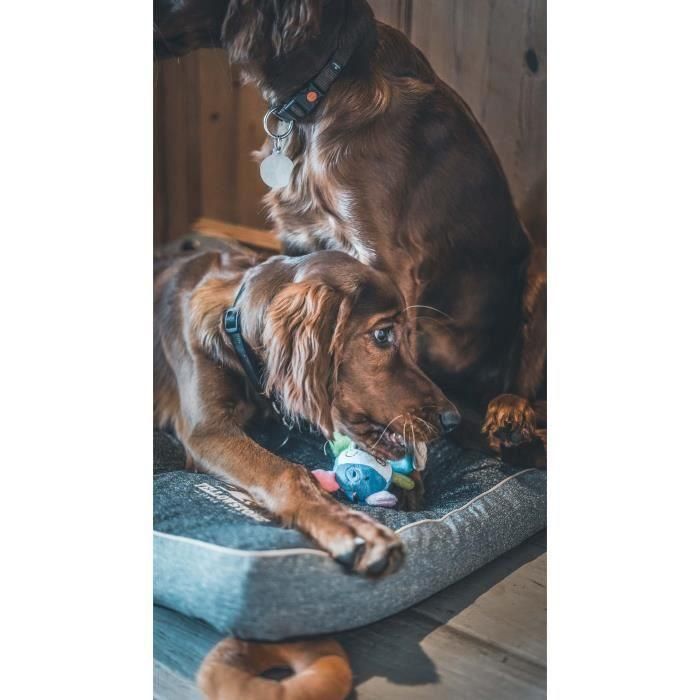 LOVES Juguete de Peluche Vaca Mini para Perros - Suave, Ligero y Cómodo con Relleno de Botellas Recicladas - 16 cm 4