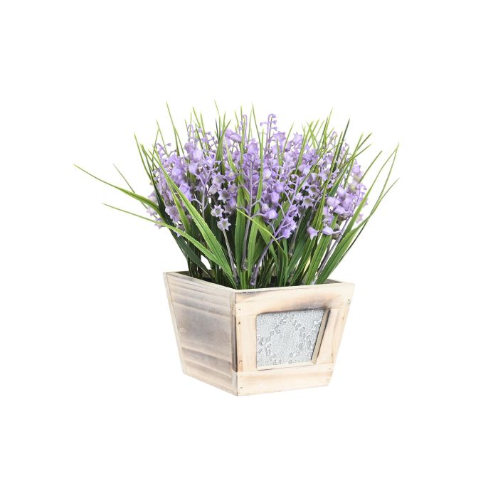 Planta Shabby DKD Home Decor Lila 24 x 24 x 24 cm (6 Unidades) Planta Shabby DKD Home Decor Lila 24 x 24 x 24 cm (6 Unidades)