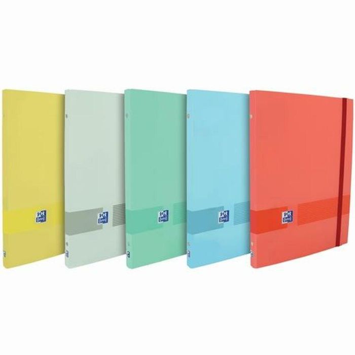 Carpeta Clasificadora Oxford Multicolor A4+ (10 Unidades) 1
