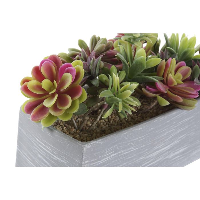 DKD Home Decor Planta Artificial Decorativa Colores Surtidos (Gris, Marrón, Multicolor) PE y EVA 11x14.5x23.5 cm Pack 4 Unidades 2 DKD Home Decor Planta Artificial Decorativa Colores Surtidos (Gris, Marrón, Multicolor) PE y EVA 11x14.5x23.5 cm Pack 4 Unidades 2