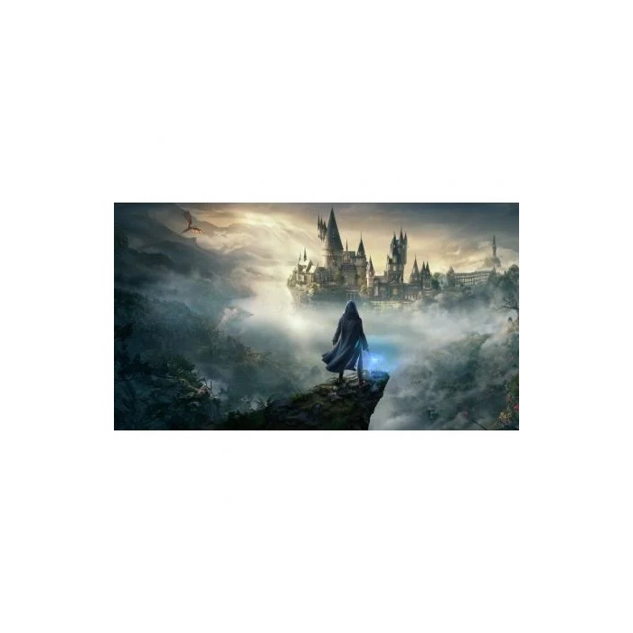 Nintendo Hogwarts Legacy Standard RPG Nintendo Switch HOGWARTS LEG STD SWITCH 1