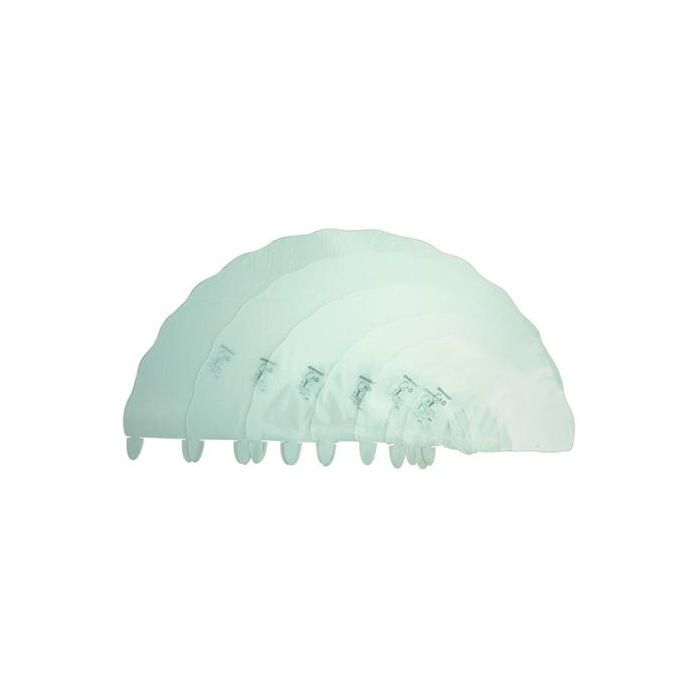 Greencol Collar Isabelino Transparente, Polipropileno Reciclado, Cierre Rápido, Tamaño 15 Greencol Collar Isabelino Transparente, Polipropileno Reciclado, Cierre Rápido, Tamaño 15
