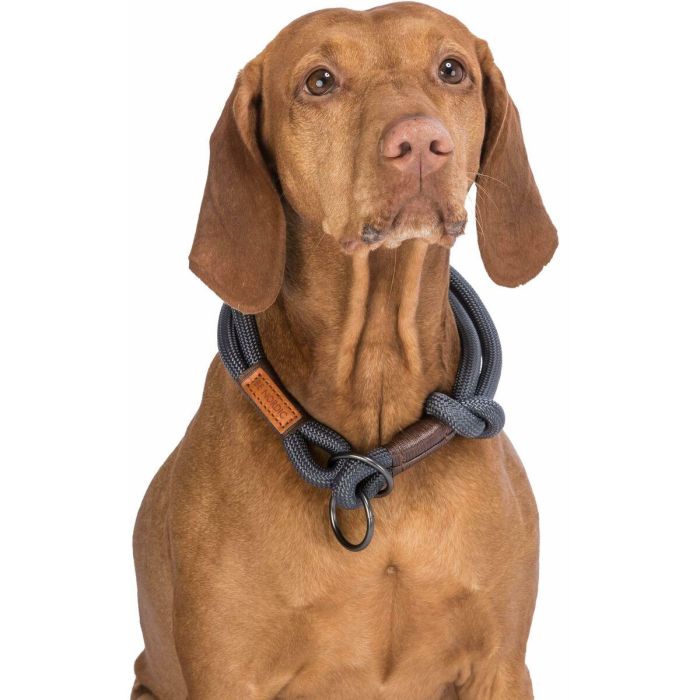 Collar de Adiestramiento para Perros Trixie BE NORDIC Marrón Gris oscuro 45 cm 8 Collar de Adiestramiento para Perros Trixie BE NORDIC Marrón Gris oscuro 45 cm 8
