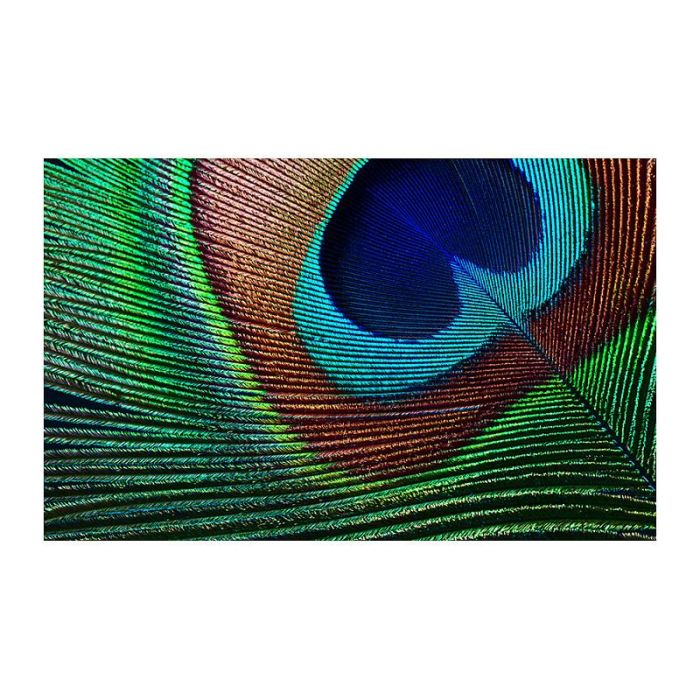 Epson EH-TW7000 Proyector 4K PRO-UHD 3000 Lúmenes ANSI 3LCD Blanco 9