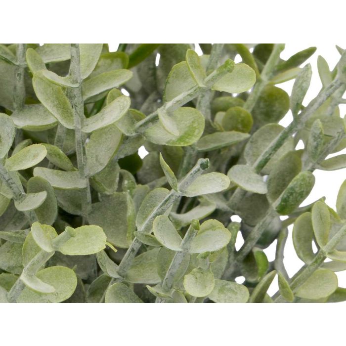 Maceta Cuadrada Hojas Verdes Surtidos Ibergarden 20x35x15cm (24 Unidades) 3 Maceta Cuadrada Hojas Verdes Surtidos Ibergarden 20x35x15cm (24 Unidades) 3