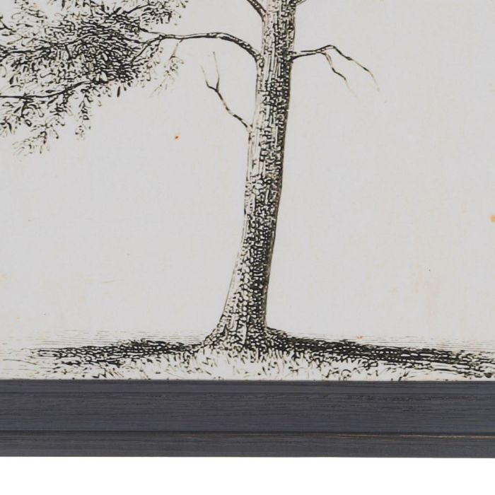 Cuadro Impresión Árbol 2/M 45 X 2,50 X 60 cm
