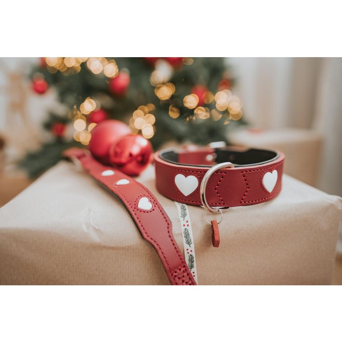 Hunter Collar Love S-M Cuello 35-40 cm Ancho 2.6 cm Rojo-Negro Cuero de Vaca 4