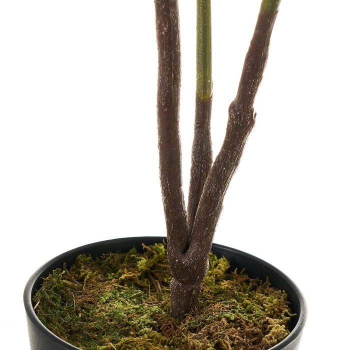 Planta Decorativa Polietileno Plástico Ficus 40 x 40 x 75 cm 1 Planta Decorativa Polietileno Plástico Ficus 40 x 40 x 75 cm 1