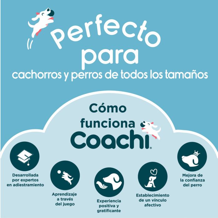 Juguete de adiestramiento Coachi Azul 2