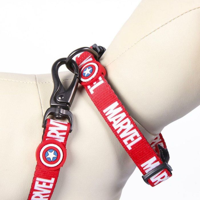 Collar premium para perros XXS/XS marvel t1XXS:XXS/XS 6 Collar premium para perros XXS/XS marvel t1XXS:XXS/XS 6