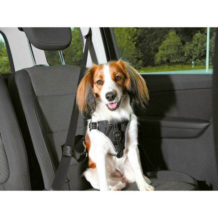 Arnés para Perro Trixie Comfort Negro S/M Coche 2