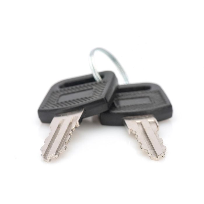 Digitus DN-KEY-WM Llaves para Armarios Murales Serie Dynamic SOHO 10" y 19", Carga, Cierre, Negro/Plata, 2 Piezas 2