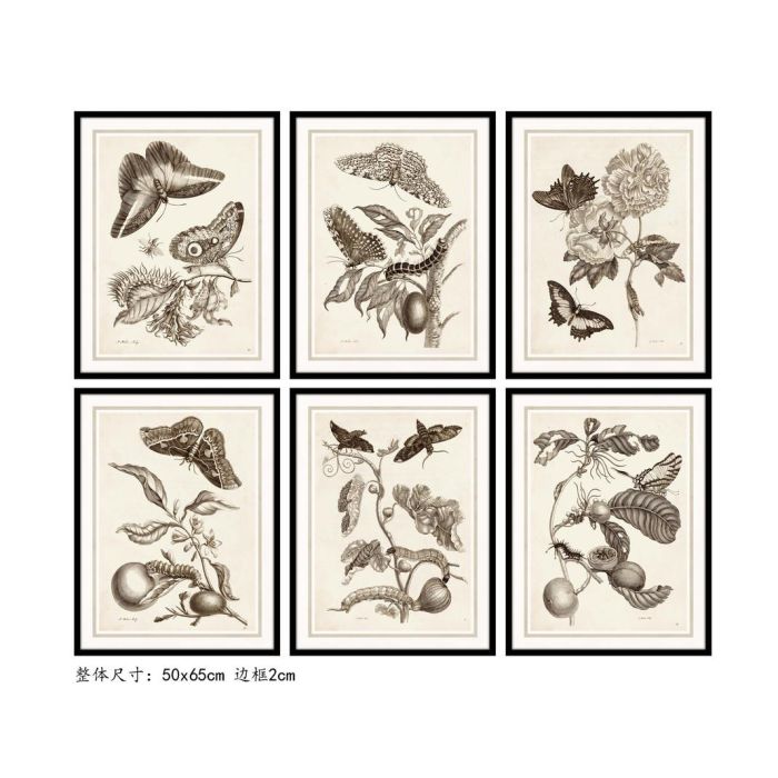 DKD Home Decor Cuadro Moderno Decoración Pared Cristal y Mdf con Flores y Insectos Gris Beige 65x50 cm Pack 6 Unidades Surtidas