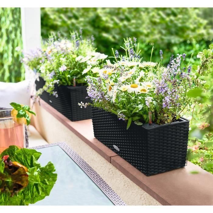 LECHUZA Jardiniere - Balconera cottage 50 - 50 x 19 x 19 - Kit completo - Negro grafito - 8 L 1 LECHUZA Jardiniere - Balconera cottage 50 - 50 x 19 x 19 - Kit completo - Negro grafito - 8 L 1