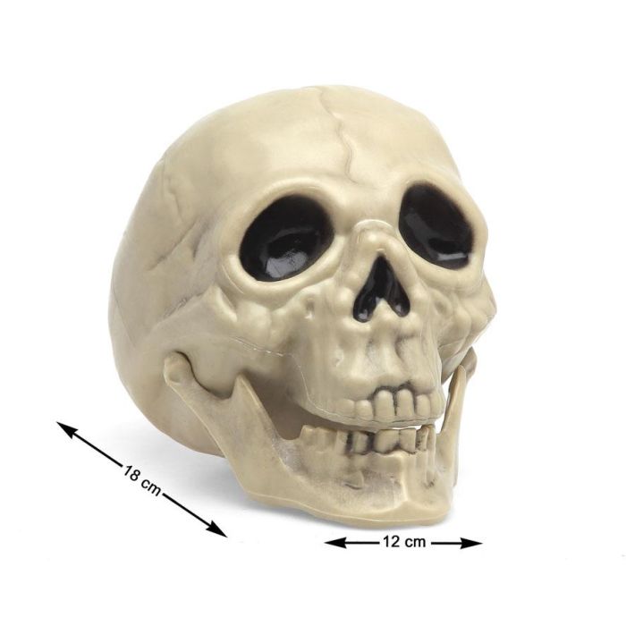 Calavera Blanca Decorativa Halloween 17,5x12x14 cm