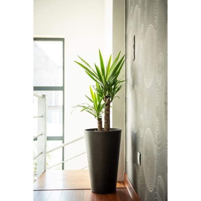Maceta alta para flores - GARDEN ID - Green Care Sense Tall Black-Anthr. - 55 cm - Garantía de 10 años - 100% reciclado - Resistencia a los rayos UV y al gel 3 Maceta alta para flores - GARDEN ID - Green Care Sense Tall Black-Anthr. - 55 cm - Garantía de 10 años - 100% reciclado - Resistencia a los rayos UV y al gel 3