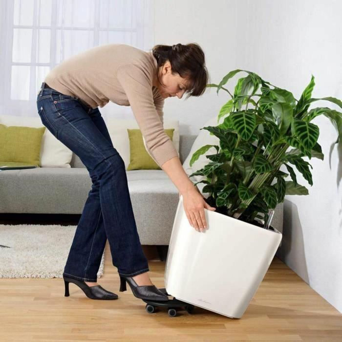 Lechuza LEC4008789162830 Maceta Quadro Premium LS 50, Antracita Metalizada, 50 x 50 x 46.5 cm, 53 L 3