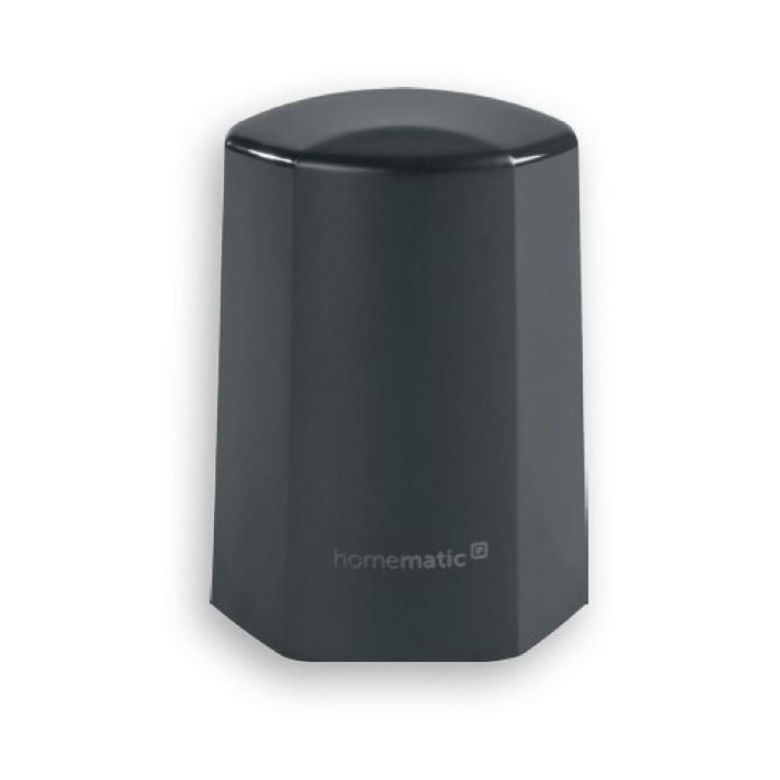 Homematic IP Sensor de Temperatura y Humedad Exterior - Antracita