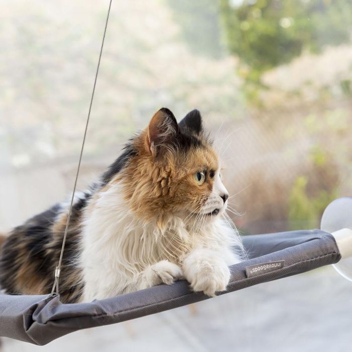 Hamaca Colgante para Gatos Catlax InnovaGoods 5