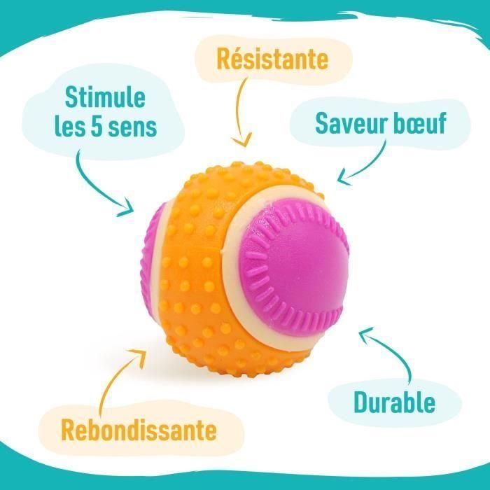 Pelota para perros - AIMÉ - 5 en 1 sabor carne 3 Pelota para perros - AIMÉ - 5 en 1 sabor carne 3
